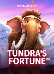 รีวิววิธีสมัคร ไพ่ บา ค่า ร่า ที่คุณควรรู้ก่อนเริ่มเล่น