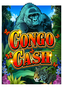 สูตรเด็ด fox88 ฟรี เครดิต ที่คุณควรลอง